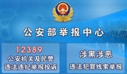 新闻爆料投诉找谁举报,揭秘举报途径，维护权益