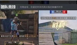 流浪者大招爆料视频播放