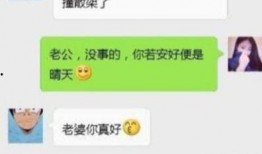网友爆料搞笑语录视频,搞笑语录视频，笑料百出，笑到肚子疼！