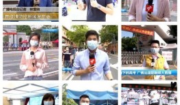 广东台今日爆料直播,今日热点事件深度剖析