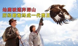 《鹰王》在线观看,翱翔天际的传奇英雄，探寻自由与力量的极致之旅